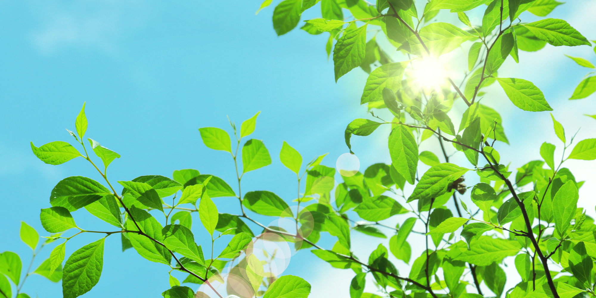 医療法人おおふち眼科